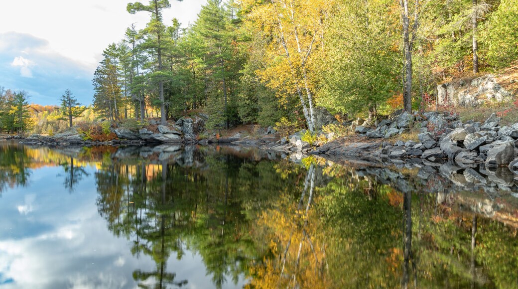 River reflection fall colours (colors) landscape