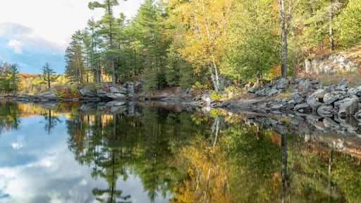 A calm lake reflecting trees with autumn foliage, surrounded by rocky terrain and dense forest.