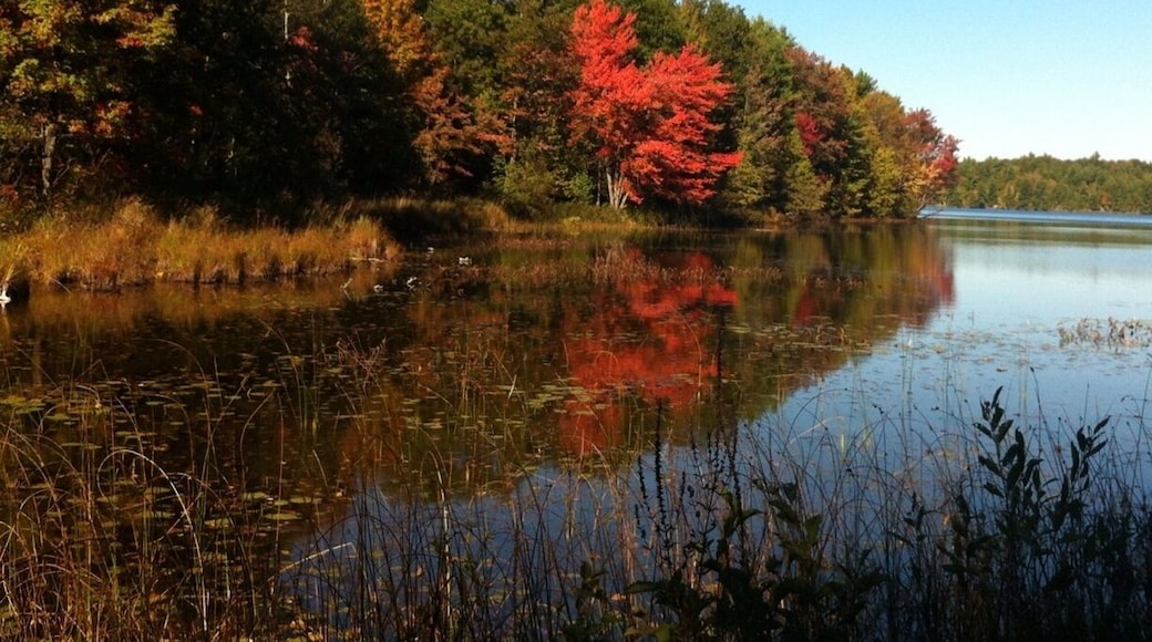 Beautiful fall colours!