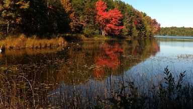 A calm lake surrounded by autumn foliage, with a clear blue sky above.