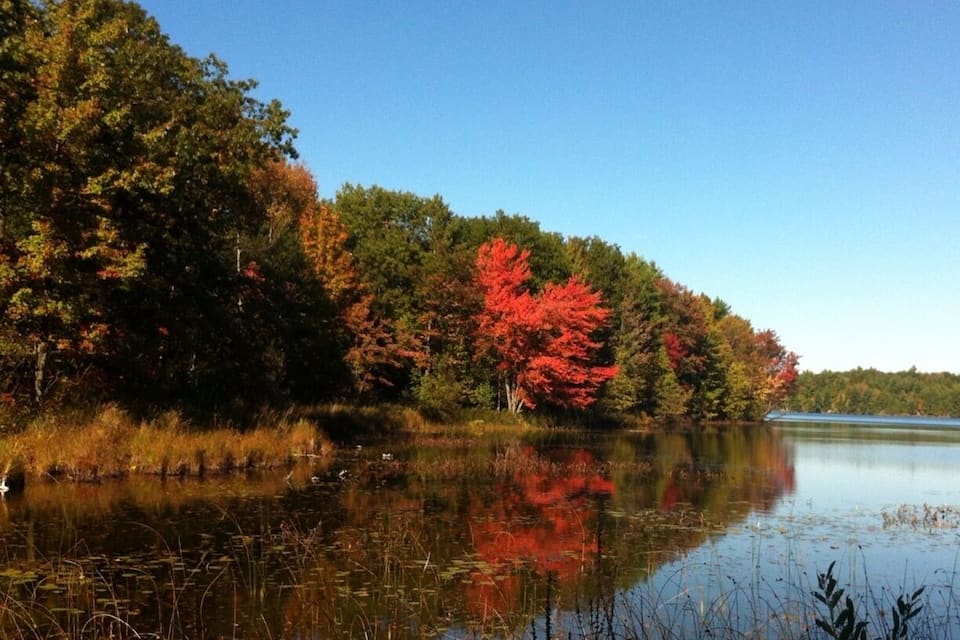A calm lake surrounded by autumn foliage, with a clear blue sky above.