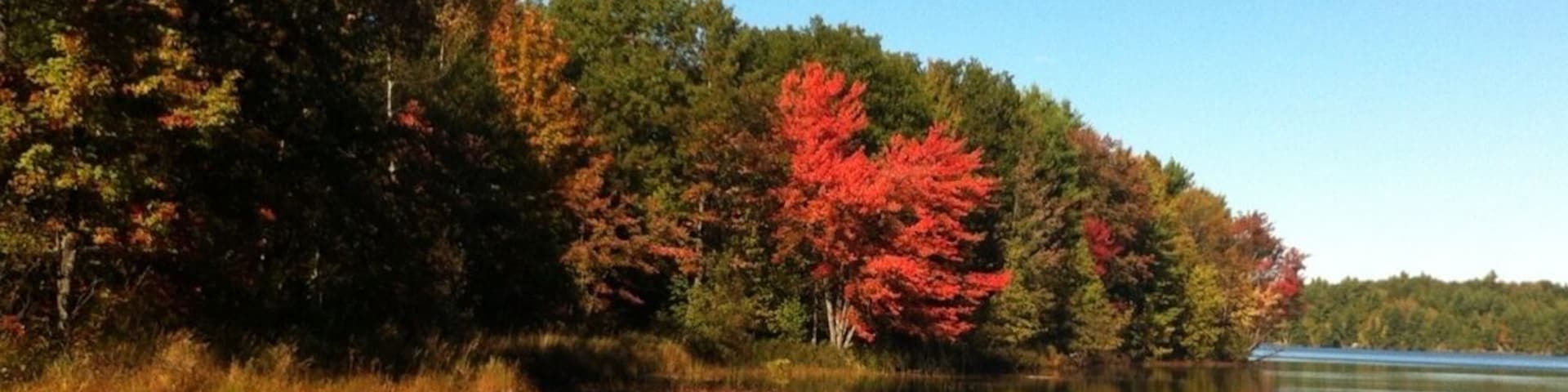 Beautiful fall colours!