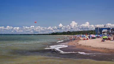 Una playa con cielos despejados, una orilla arenosa y una línea de costa distante con edificios.