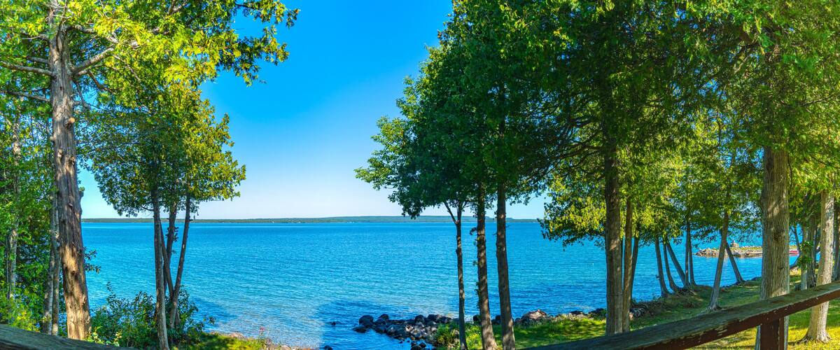 A coastal landscape with a clear blue sky, a calm sea, and a row of trees.