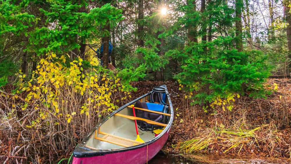 A canoe in a forested area with dense greenery and a small body of water.