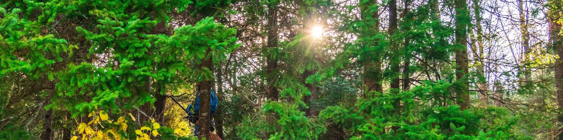 Canoe at a camp site on the Lower Madawaska River on a brilliant fall morning in Eastern Ontario, Canada