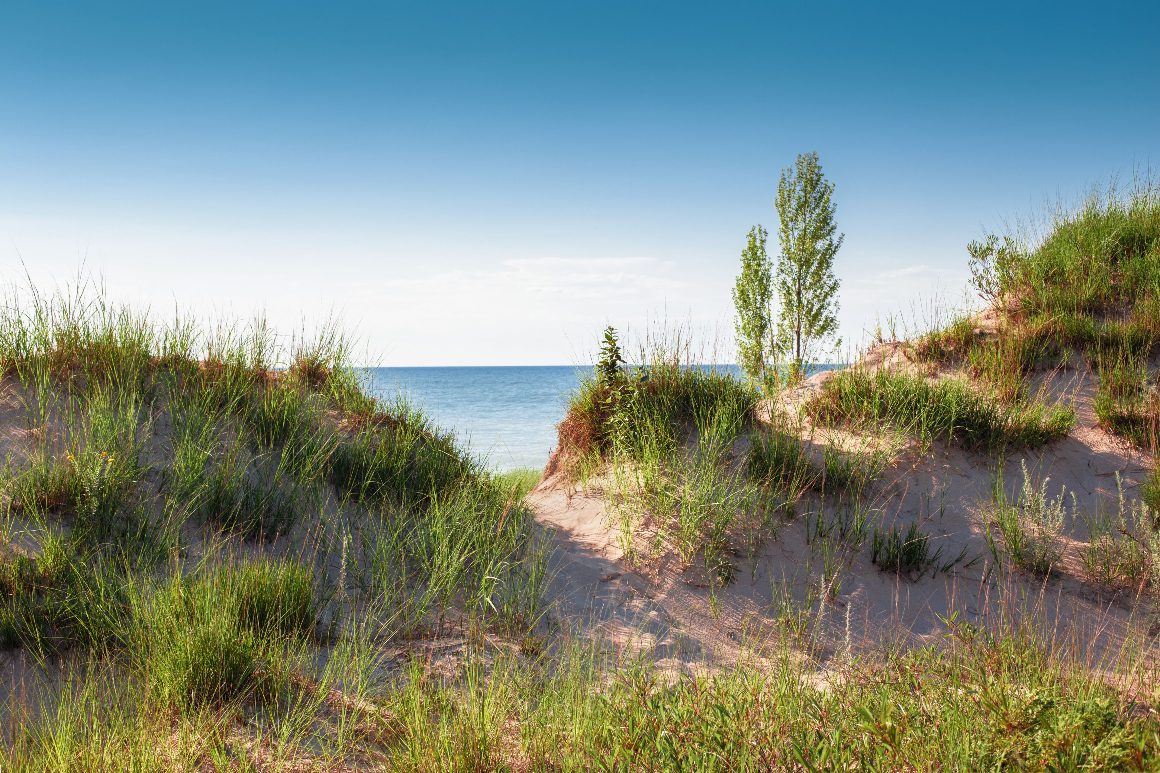 Beautiful day sunset landscape at Canadian Ontario lake Huron in national Pinery Park. Sand dunes and green grass with walk way path to lake. Amazing summer nature view on the beach outdoor.