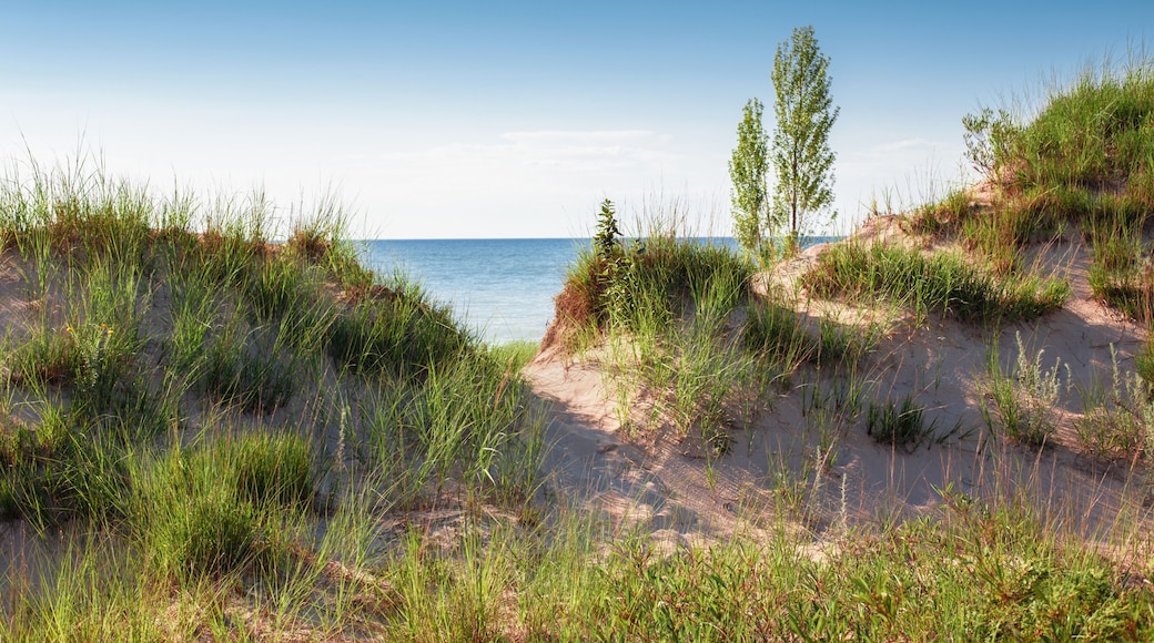 Beautiful day sunset landscape at Canadian Ontario lake Huron in national Pinery Park. Sand dunes and green grass with walk way path to lake. Amazing summer nature view on the beach outdoor.
