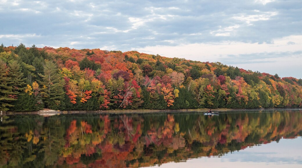 哈維洛克-貝蒙特-梅蘇恩