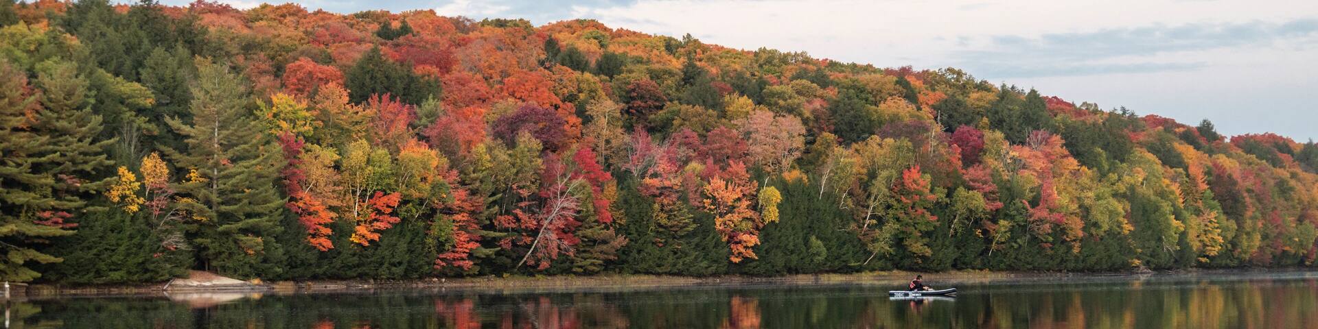 Autumn color by a lake