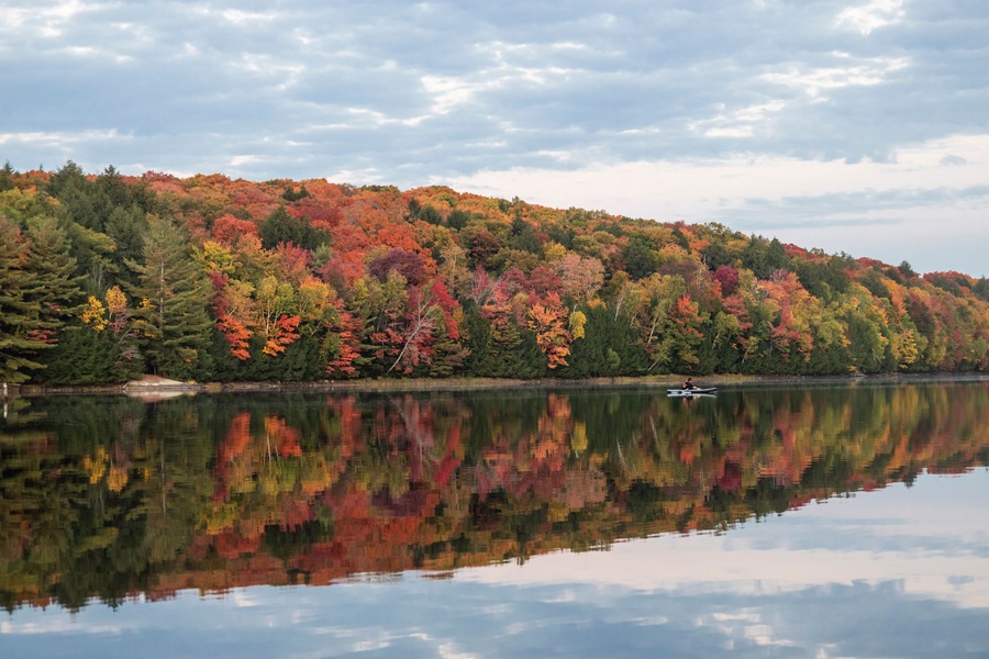 Autumn color by a lake