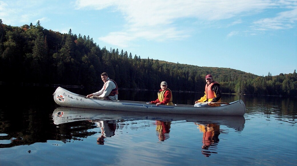 I did a bit of paddling while I was in Canada, and the best place by far is Algonquin and its many many lakes. This is definitely land of the silver birch, home of the beaver! #paddle #lakes