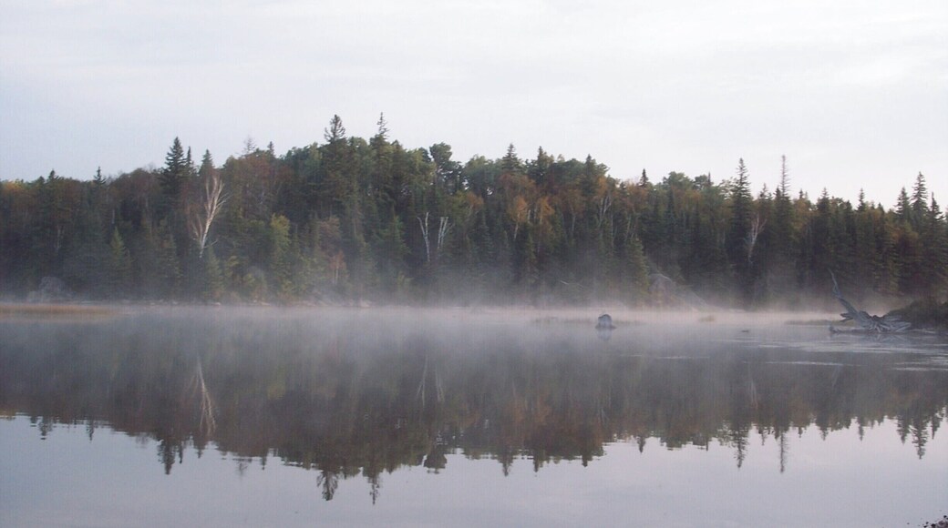 We were staying overnight on a tiny bit of land and the morning greeted us with an ethereal mist. #lakes #forests #troveon