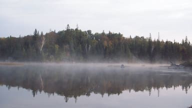 We were staying overnight on a tiny bit of land and the morning greeted us with an ethereal mist. #lakes #forests #troveon