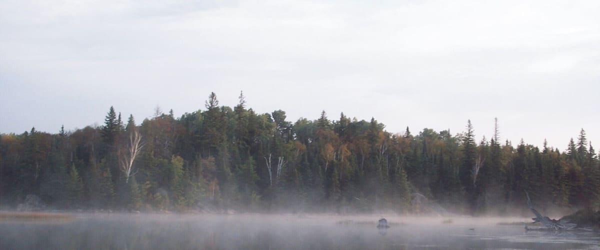 A calm lake with reflections of trees and a misty forest in the background.