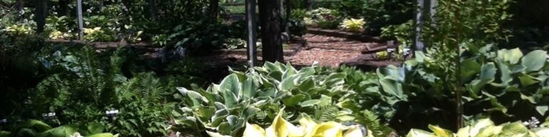 If you want to buy Hostas, this place has hundreds of varieties. Beautiful setting & well worth the visit, but caution: about 1 kilometer of gravel road.
http://www.hostachoicegardens.com/