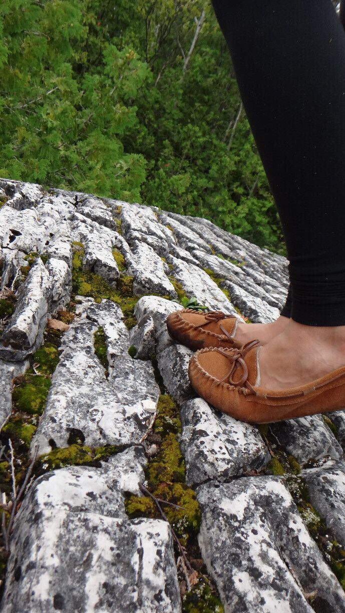 Hiking the Bruce trail