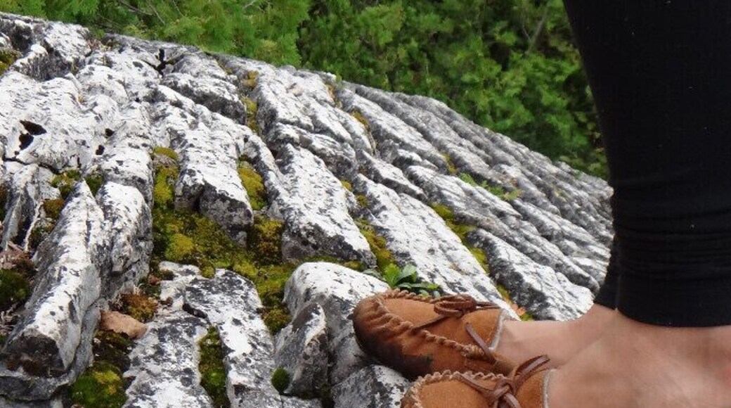Hiking the Bruce trail
