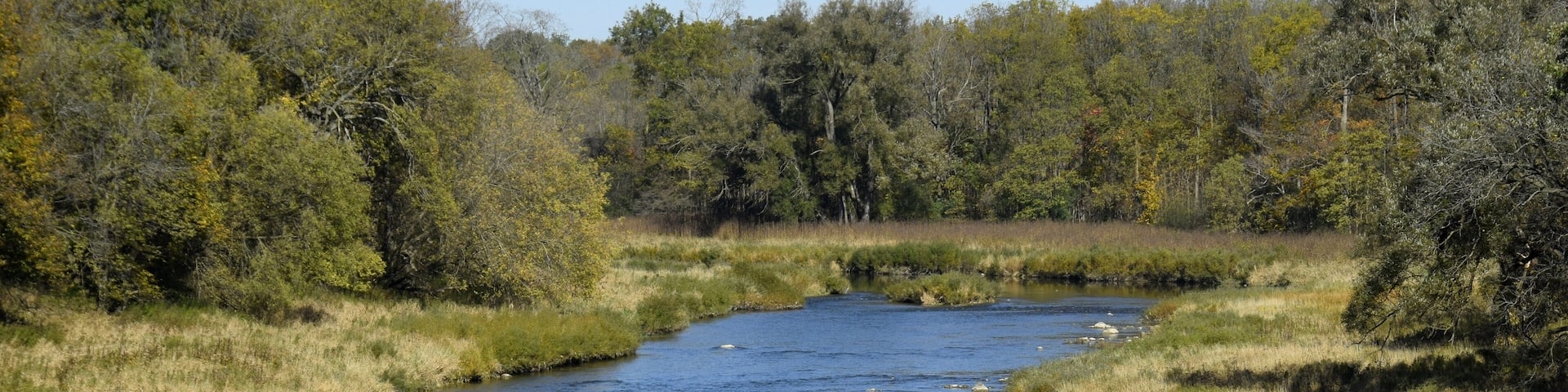 Autumn nature landscape at the Thames river in London Ontario Canada