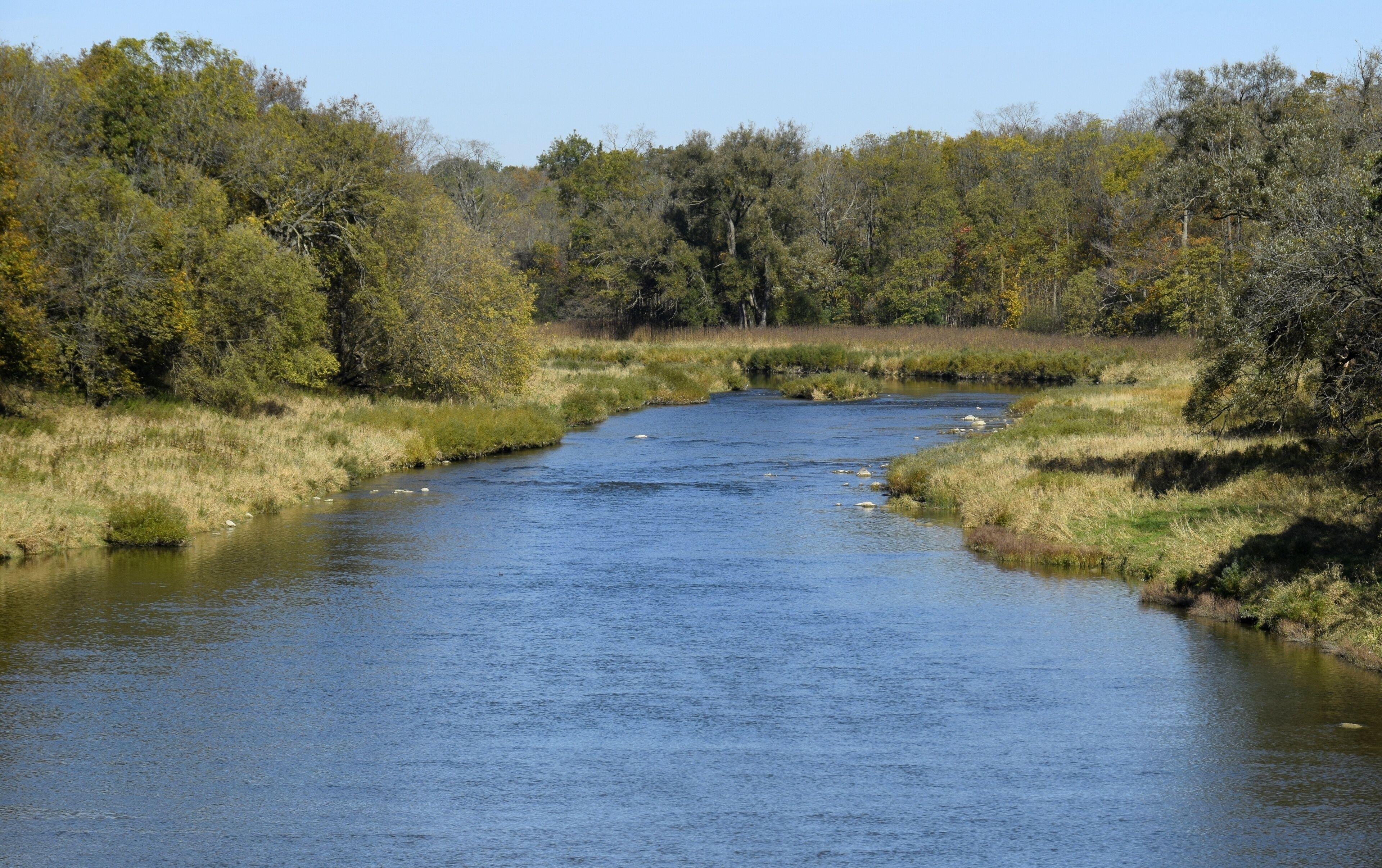 A calm river flowing through a forested area with dense trees and grassy banks.