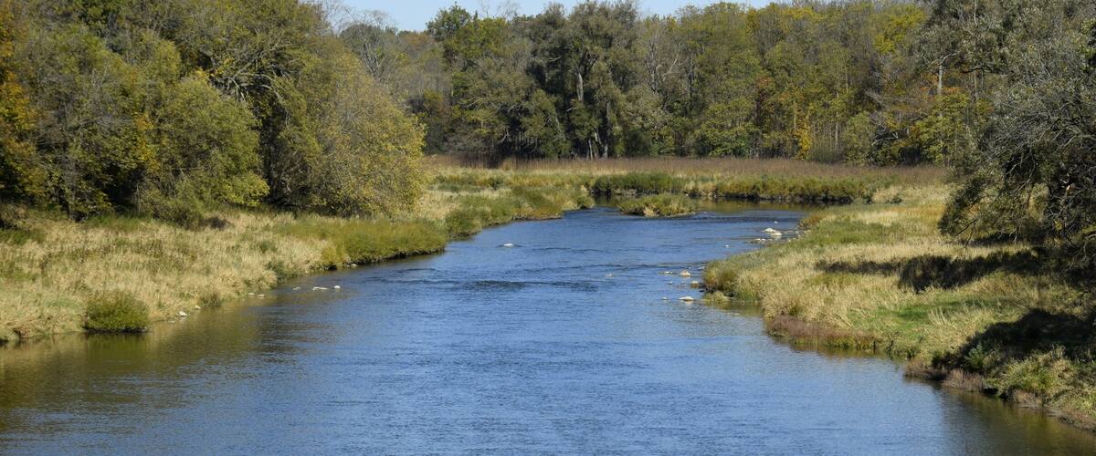 A calm river flowing through a forested area with dense trees and grassy banks.