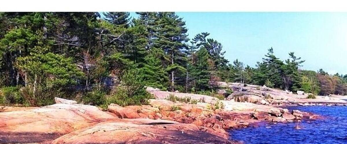 Exposed Canadian Shield at Killbear Provincial Park. For those who don't know about the shield... The Canadian Shield, also called the Laurentian Plateau, or Bouclier Canadien (French), is a large area of exposed Precambrian igneous and high-grade metamorphic rocks (geological shield) that forms the ancient geological core of the North American continent (North American or Laurentia craton), covered by a thin layer of soil. It is an area mostly composed of igneous rock which relates to its long volcanic history. It has a deep, common, joined bedrock region in Eastern and central Canada and stretches North from the Great Lakes to the Arctic Ocean, covering over half of Canada.
