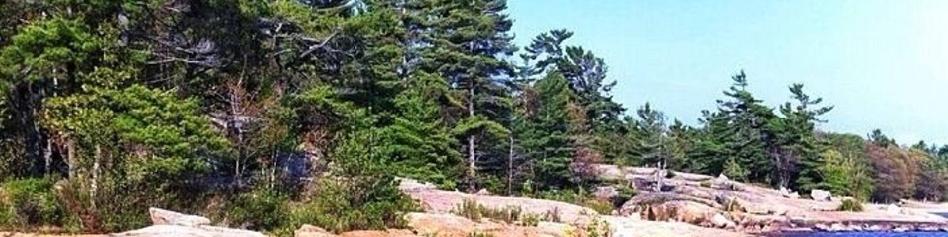 Exposed Canadian Shield at Killbear Provincial Park. For those who don't know about the shield... The Canadian Shield, also called the Laurentian Plateau, or Bouclier Canadien (French), is a large area of exposed Precambrian igneous and high-grade metamorphic rocks (geological shield) that forms the ancient geological core of the North American continent (North American or Laurentia craton), covered by a thin layer of soil. It is an area mostly composed of igneous rock which relates to its long volcanic history. It has a deep, common, joined bedrock region in Eastern and central Canada and stretches North from the Great Lakes to the Arctic Ocean, covering over half of Canada.