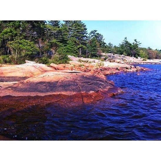 Exposed Canadian Shield at Killbear Provincial Park. For those who don't know about the shield... The Canadian Shield, also called the Laurentian Plateau, or Bouclier Canadien (French), is a large area of exposed Precambrian igneous and high-grade metamorphic rocks (geological shield) that forms the ancient geological core of the North American continent (North American or Laurentia craton), covered by a thin layer of soil. It is an area mostly composed of igneous rock which relates to its long volcanic history. It has a deep, common, joined bedrock region in Eastern and central Canada and stretches North from the Great Lakes to the Arctic Ocean, covering over half of Canada.