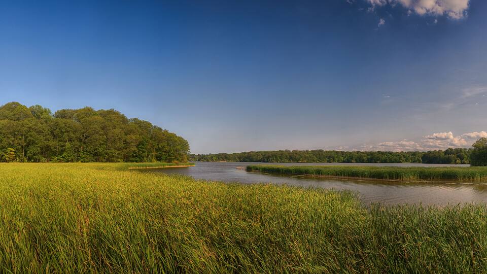 A river meandering through a lush green landscape with dense forests on both sides.