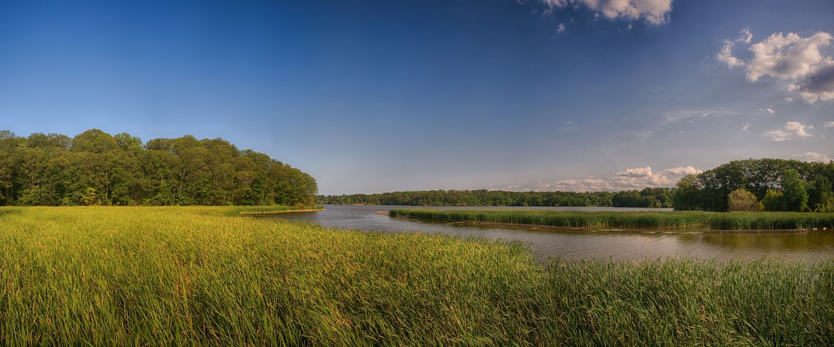 A river meandering through a lush green landscape with dense forests on both sides.