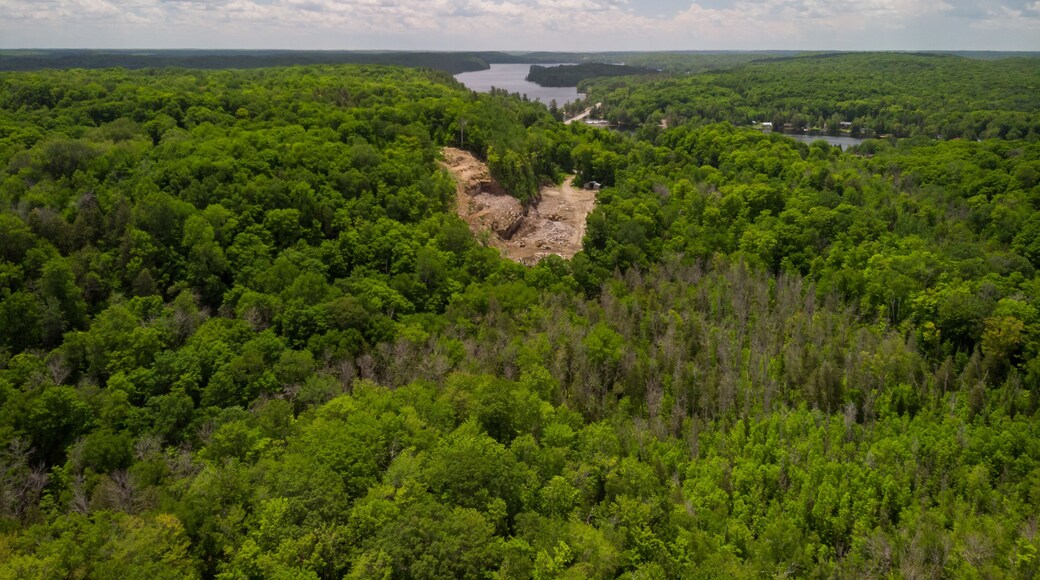 A small open-pit rock quarry has been carved out of a forested hillside.