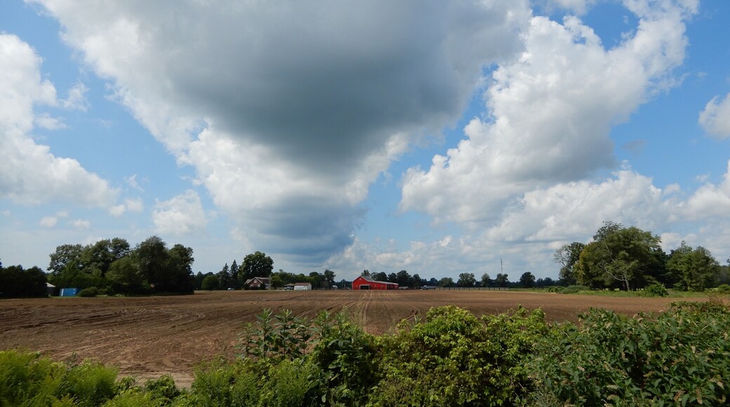 When the clouds roll in ! Summer day in southern Ontario !