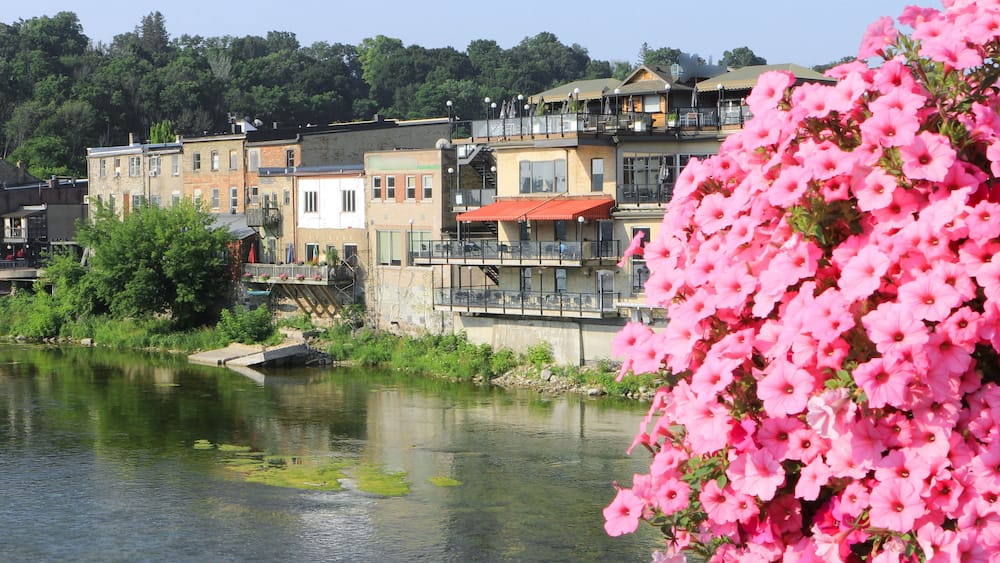 Une rivière bordée de bâtiments et traversée par un pont, le tout entouré de verdure et de fleurs roses.