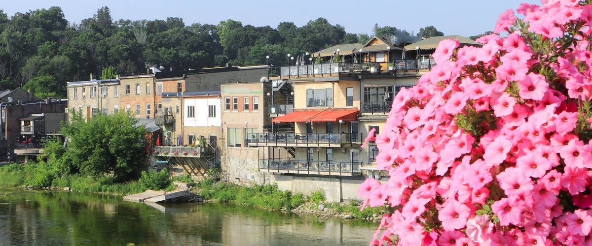 A river with buildings and a bridge, surrounded by greenery and pink flowers.