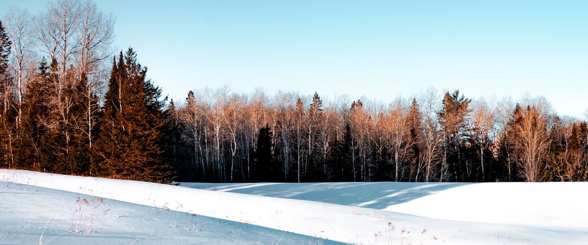 Pristine Snow In Early February in Commanda, Ontario