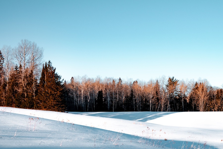 Pristine Snow In Early February in Commanda, Ontario