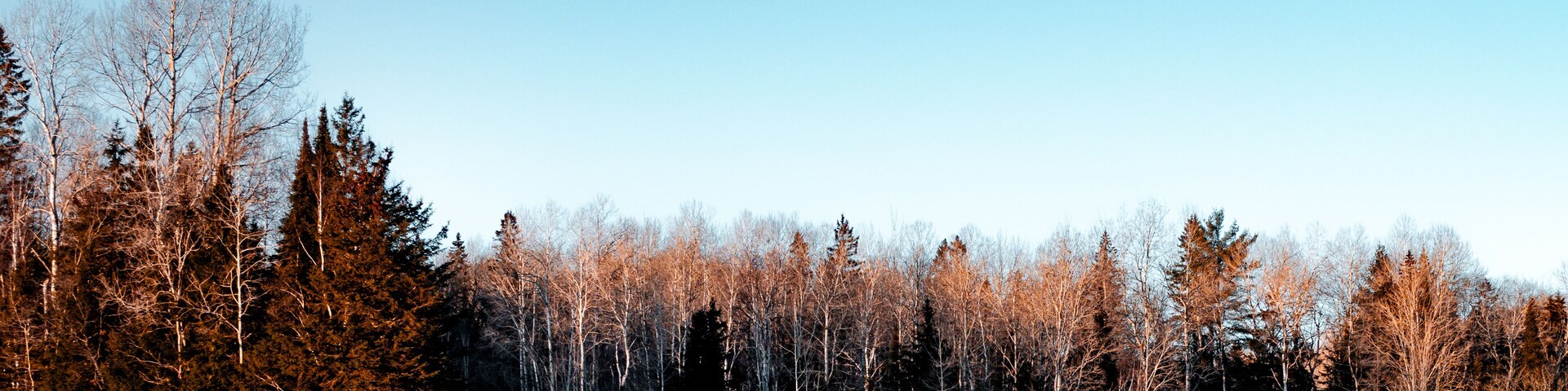 Pristine Snow In Early February in Commanda, Ontario