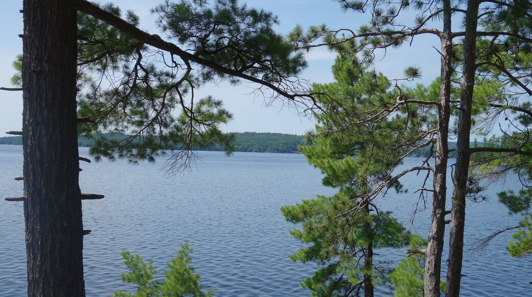 This is one of the tiniest of provincial parks in Ontario but ROUND LAKE is gorgeous, the trees untouched and the views ever so beautiful. #NATURE