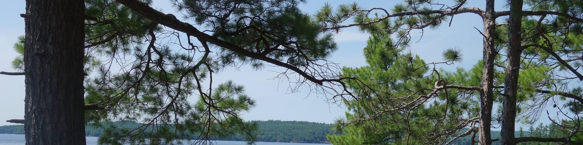 This is one of the tiniest of provincial parks in Ontario but ROUND LAKE is gorgeous, the trees untouched and the views ever so beautiful. #NATURE