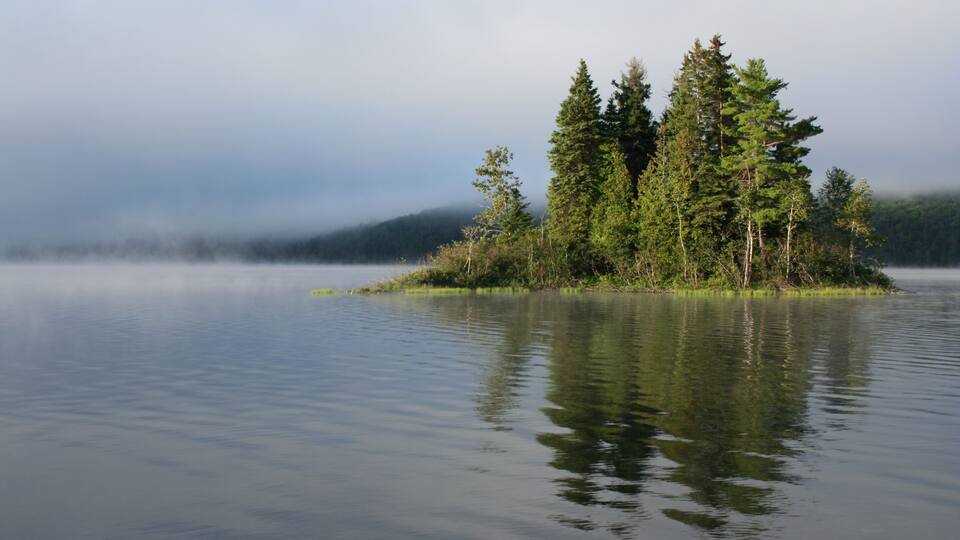 A calm lake with a small island of trees surrounded by mist.