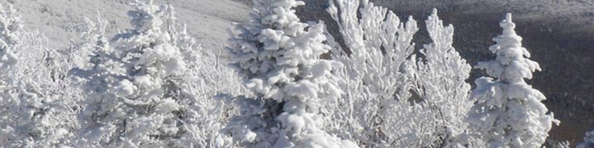 A beautiful hike in winter! #snow