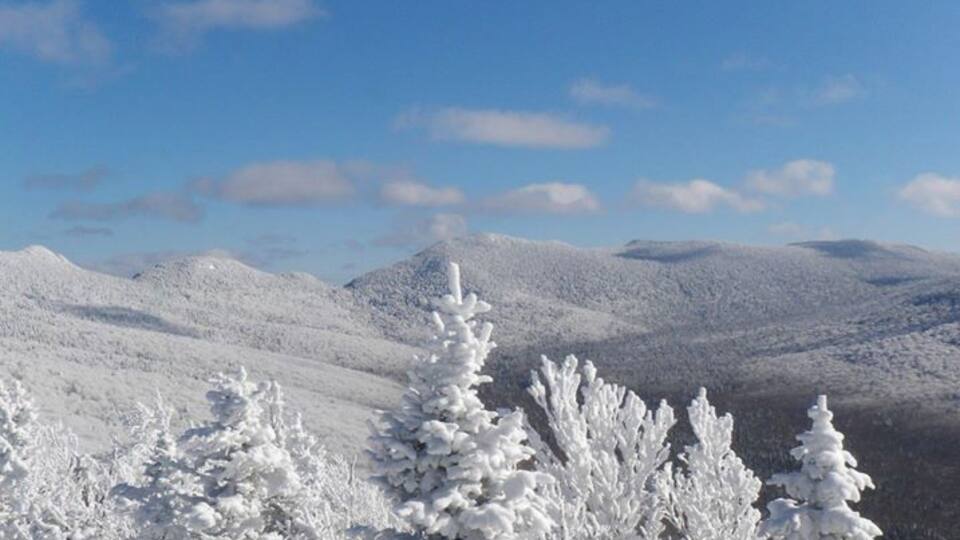 A snowy mountain landscape with snow-covered trees and a clear blue sky.