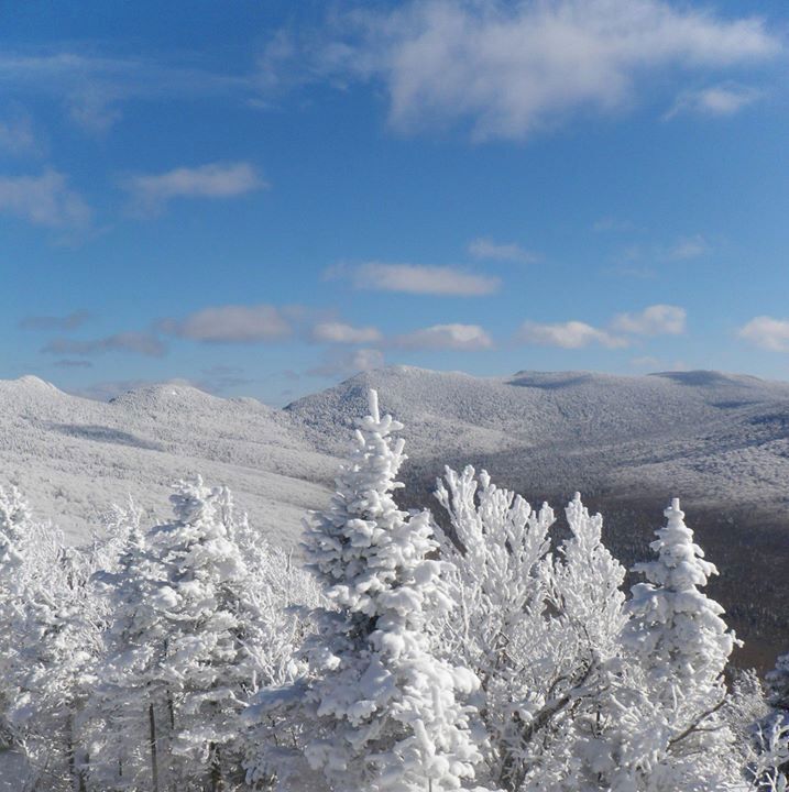 A snowy mountain landscape with snow-covered trees and a clear blue sky.