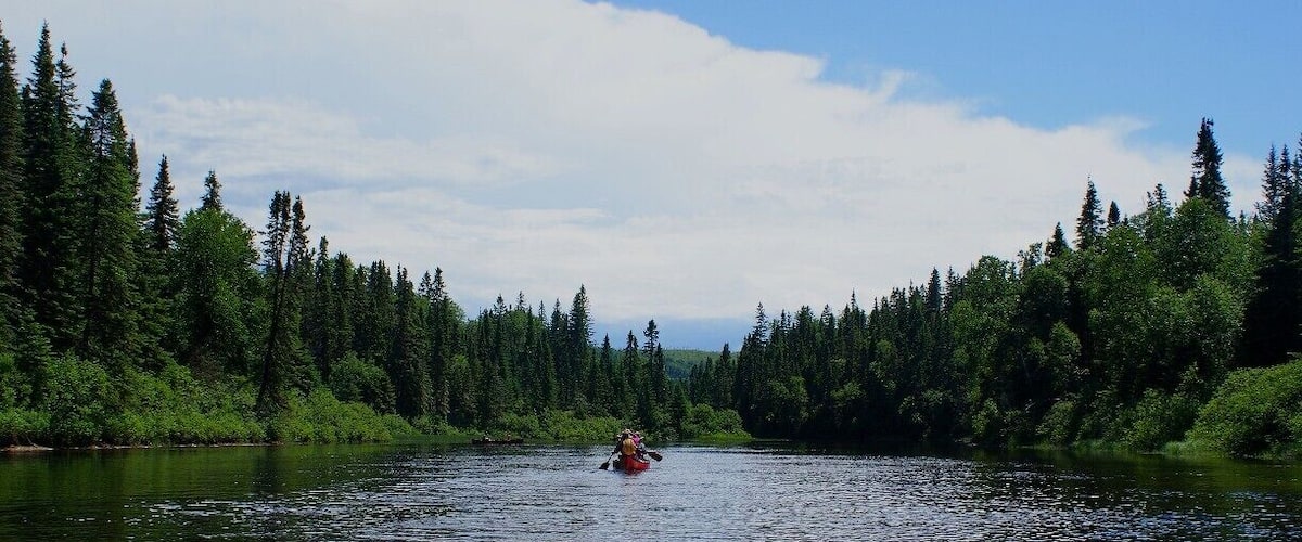 A kayaker on a river surrounded by dense forest.