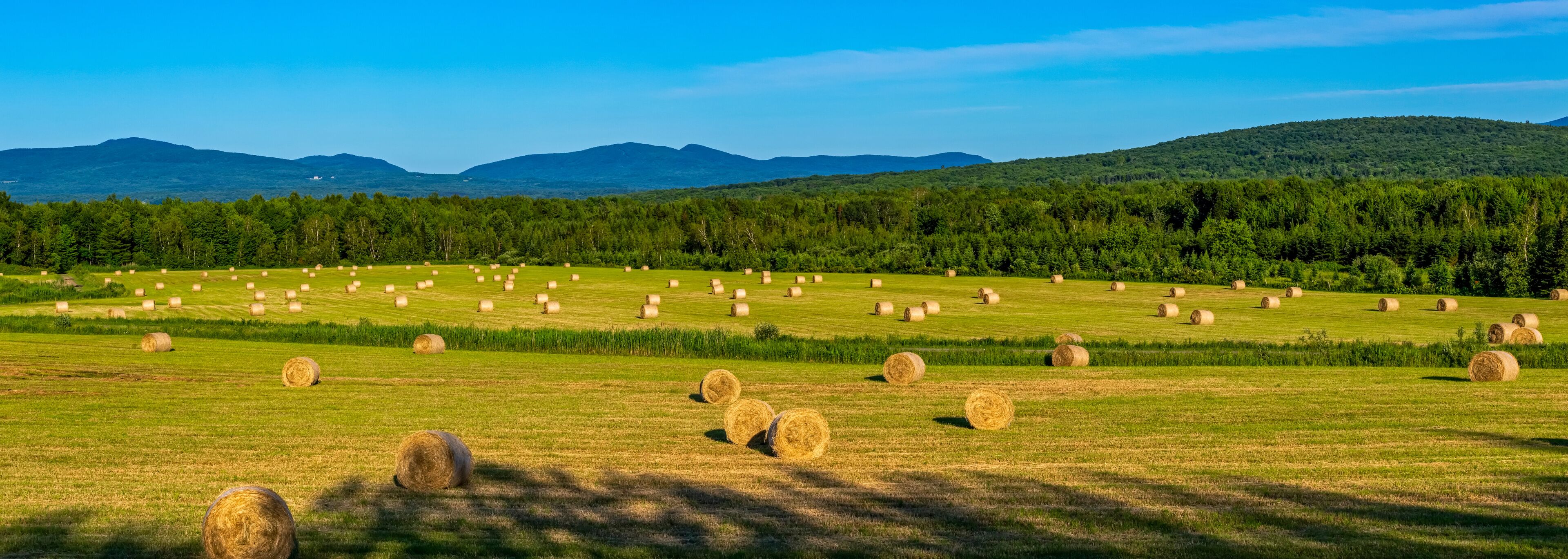 Panorama of round hay bales in a hay field with mountains and forest in the background; Brome Lake, Ville de Lac Brome, Quebec, Canada