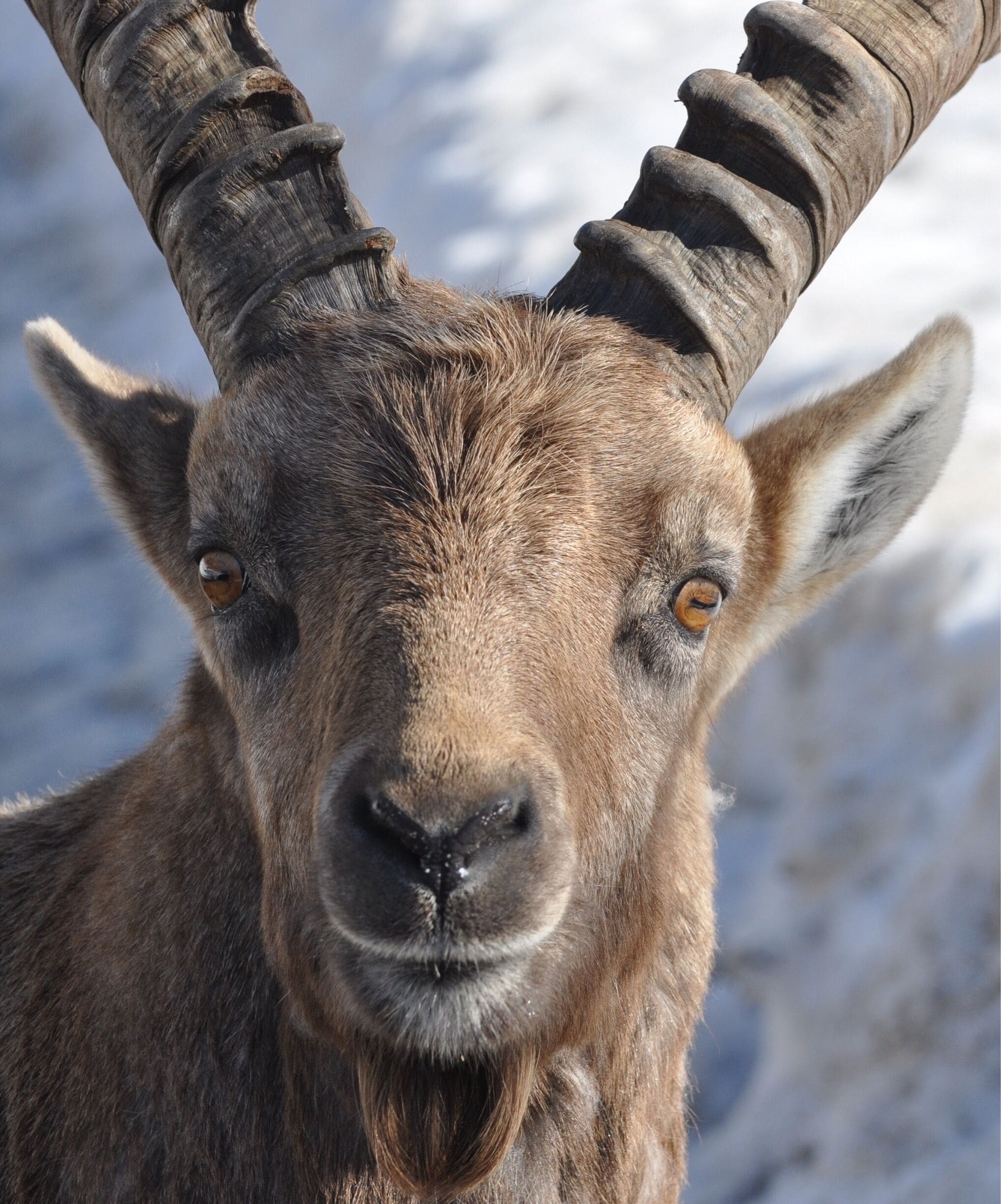 #youlookingatme 
#lovenature
