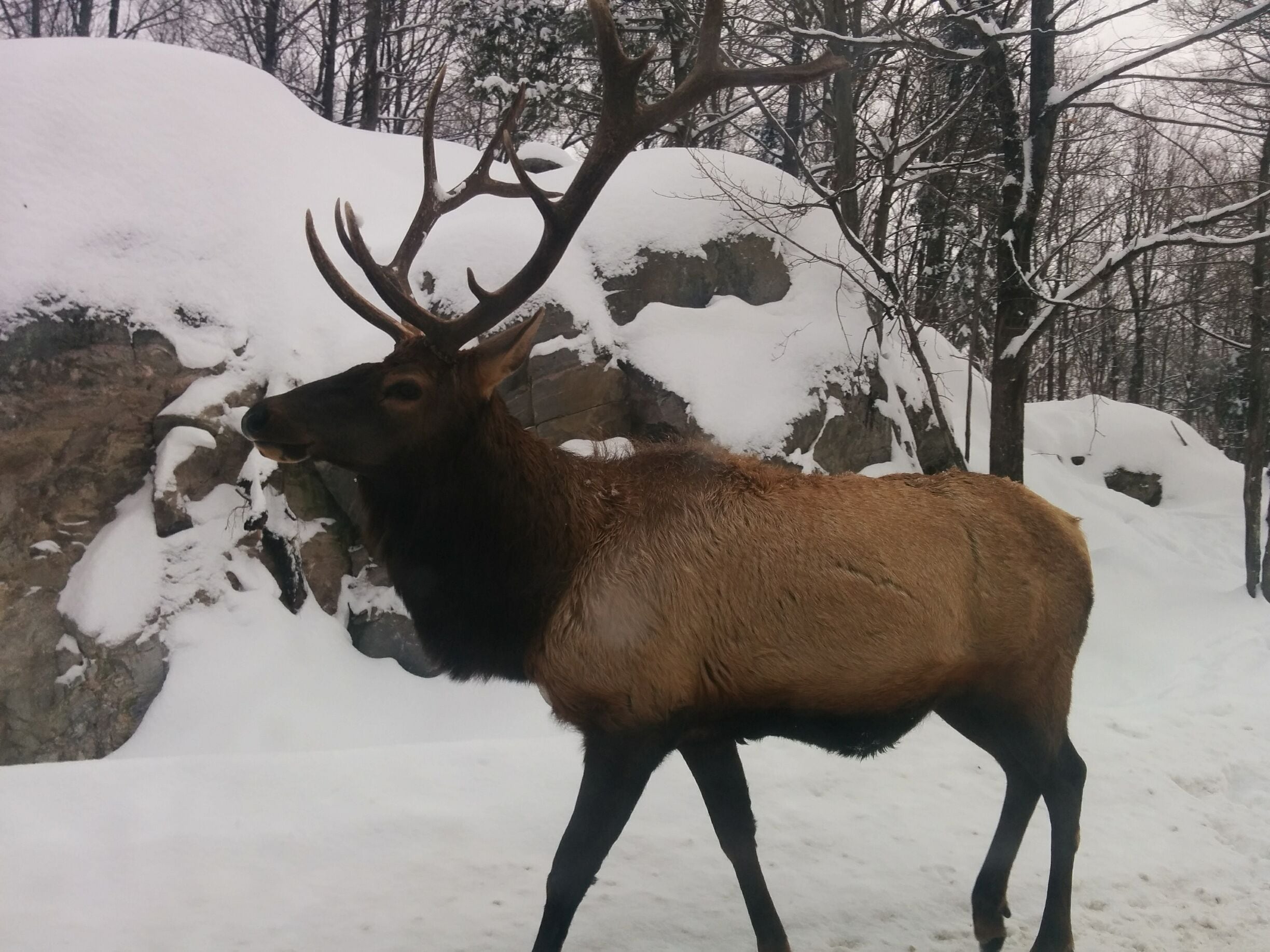 Beatiful in winter!#lifeatexpedia