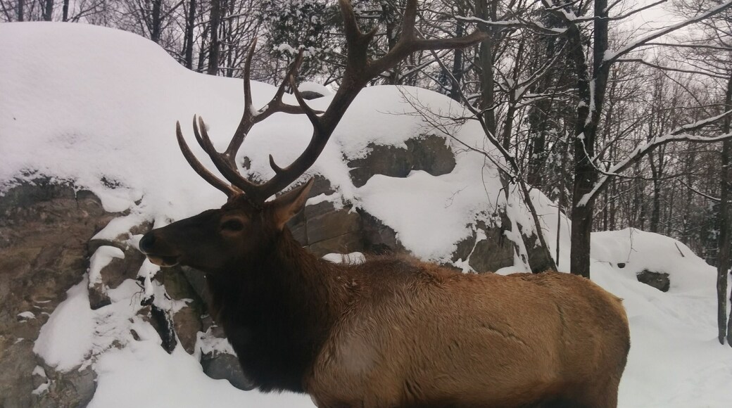 Beatiful in winter!#lifeatexpedia