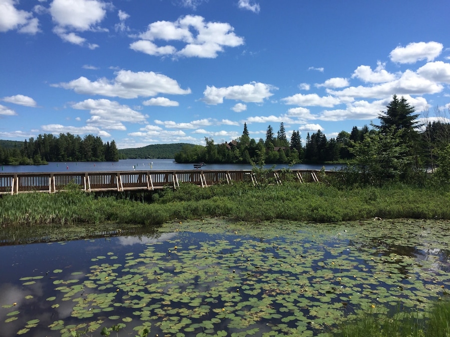 Seen while biking along the 329 through Lantier.    Worth disembarking and wander the footbridges.