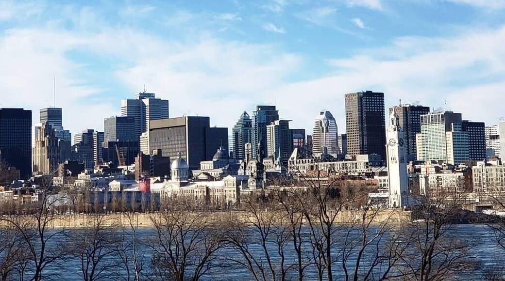 The Montreal skyline in daylight